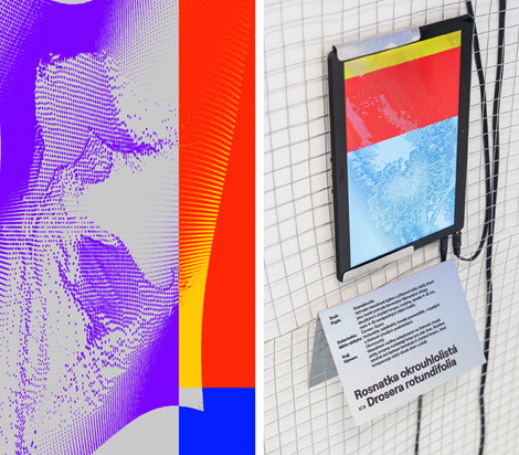 ProjectGallery-2.Content