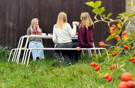 ProjectGallery-3.Content