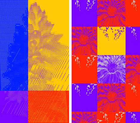 ProjectGallery-3.Content