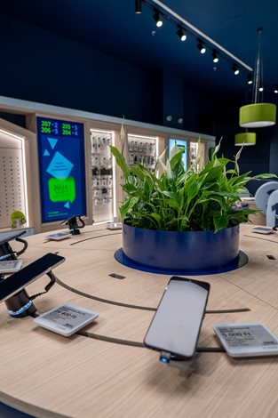 ProjectGallery-6.Content